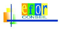 Efor-conseil